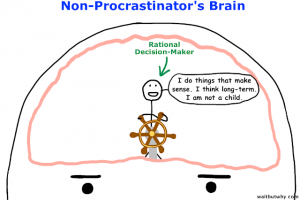 Nicht-Prokrastinator Gehirn mit „Rationalem Entscheidungsträger“ (Urban, 2019)