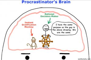 Prokrastinator Gehirn mit „Sofort-Belohnungs-Affen“ und „Rationalem Entscheidungsträger“ (Urban, 2019)